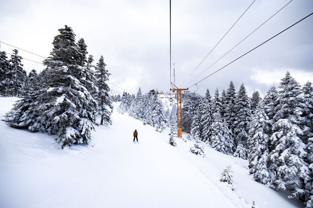 Ladonia Beceren Hotel Tüm Fotoğraflar