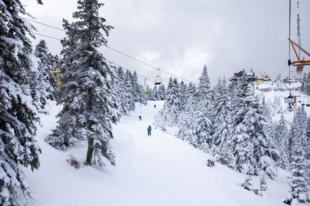 Ladonia Beceren Hotel Tüm Fotoğraflar
